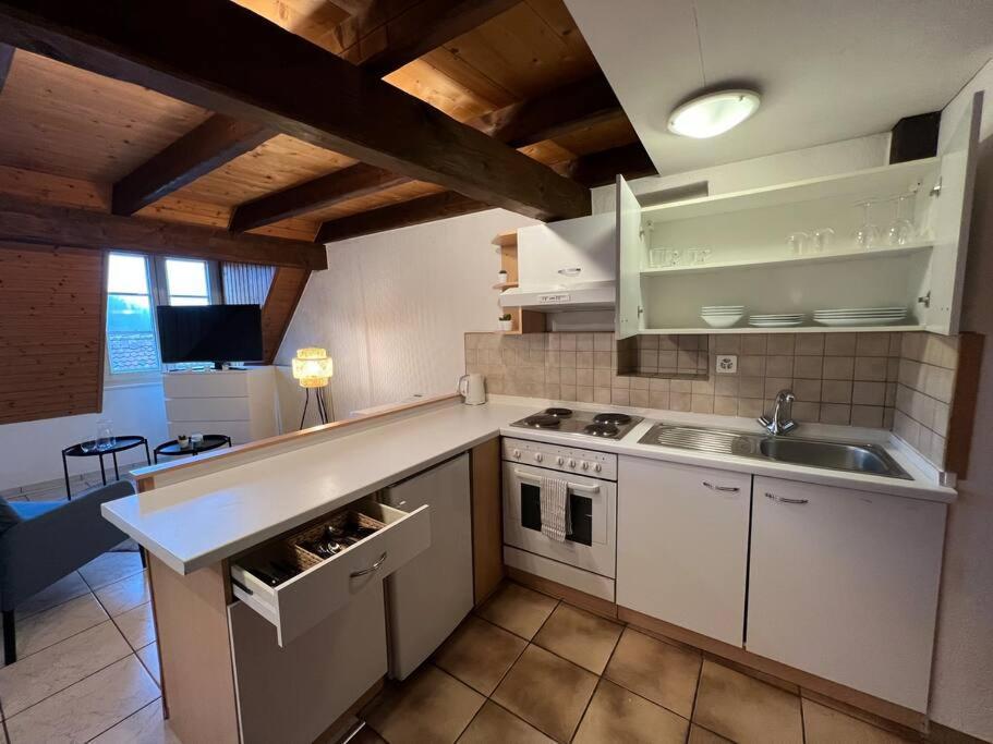 Charmant Appartement En Duplex A Porrentruy Zewnętrze zdjęcie