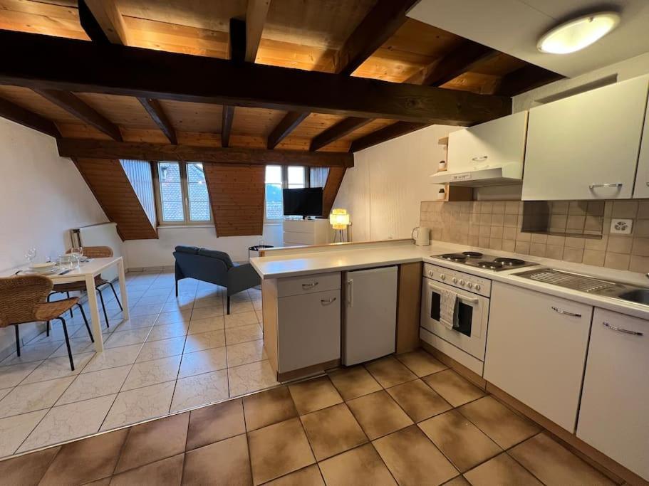 Charmant Appartement En Duplex A Porrentruy Zewnętrze zdjęcie