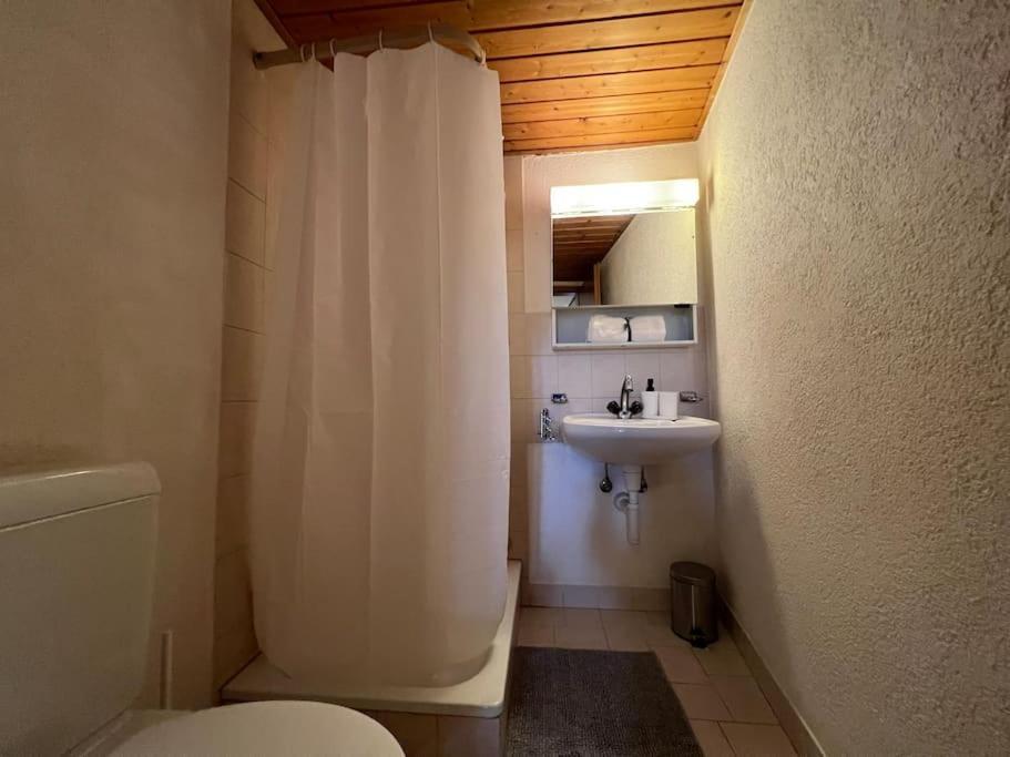 Charmant Appartement En Duplex A Porrentruy Zewnętrze zdjęcie