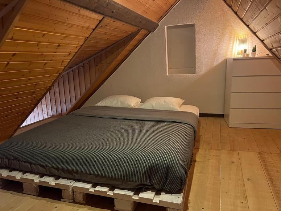 Charmant Appartement En Duplex A Porrentruy Zewnętrze zdjęcie