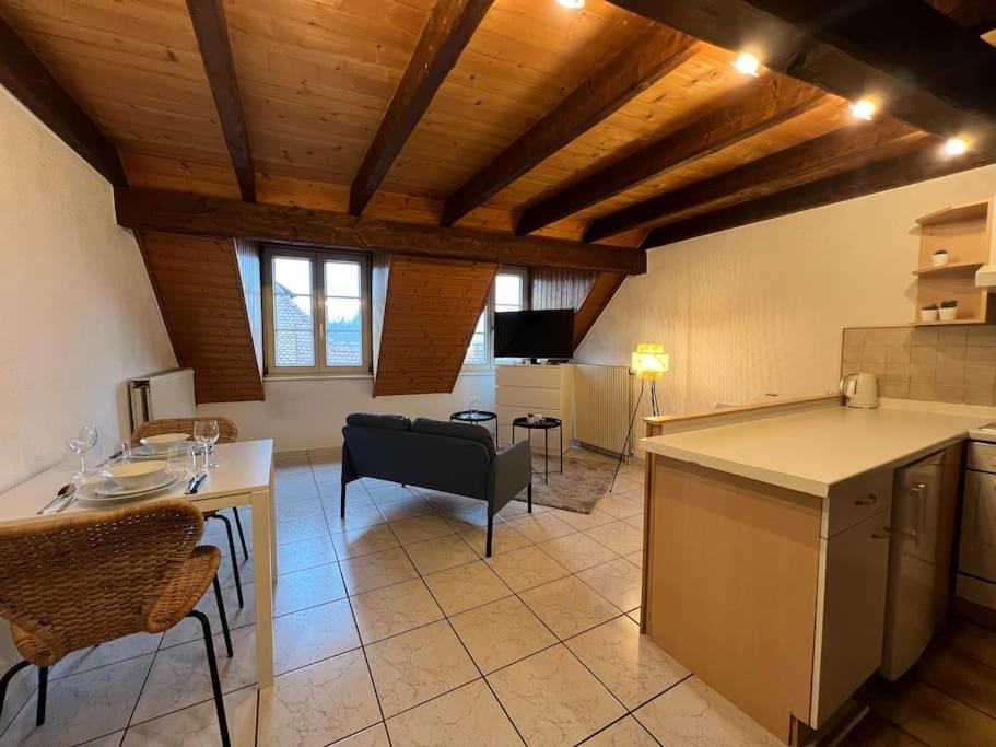 Charmant Appartement En Duplex A Porrentruy Zewnętrze zdjęcie